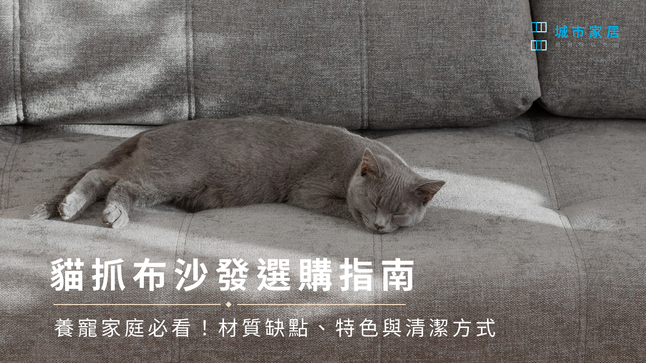 貓抓布沙發選購指南：養寵家庭必看！材質缺點、特色與清潔方式