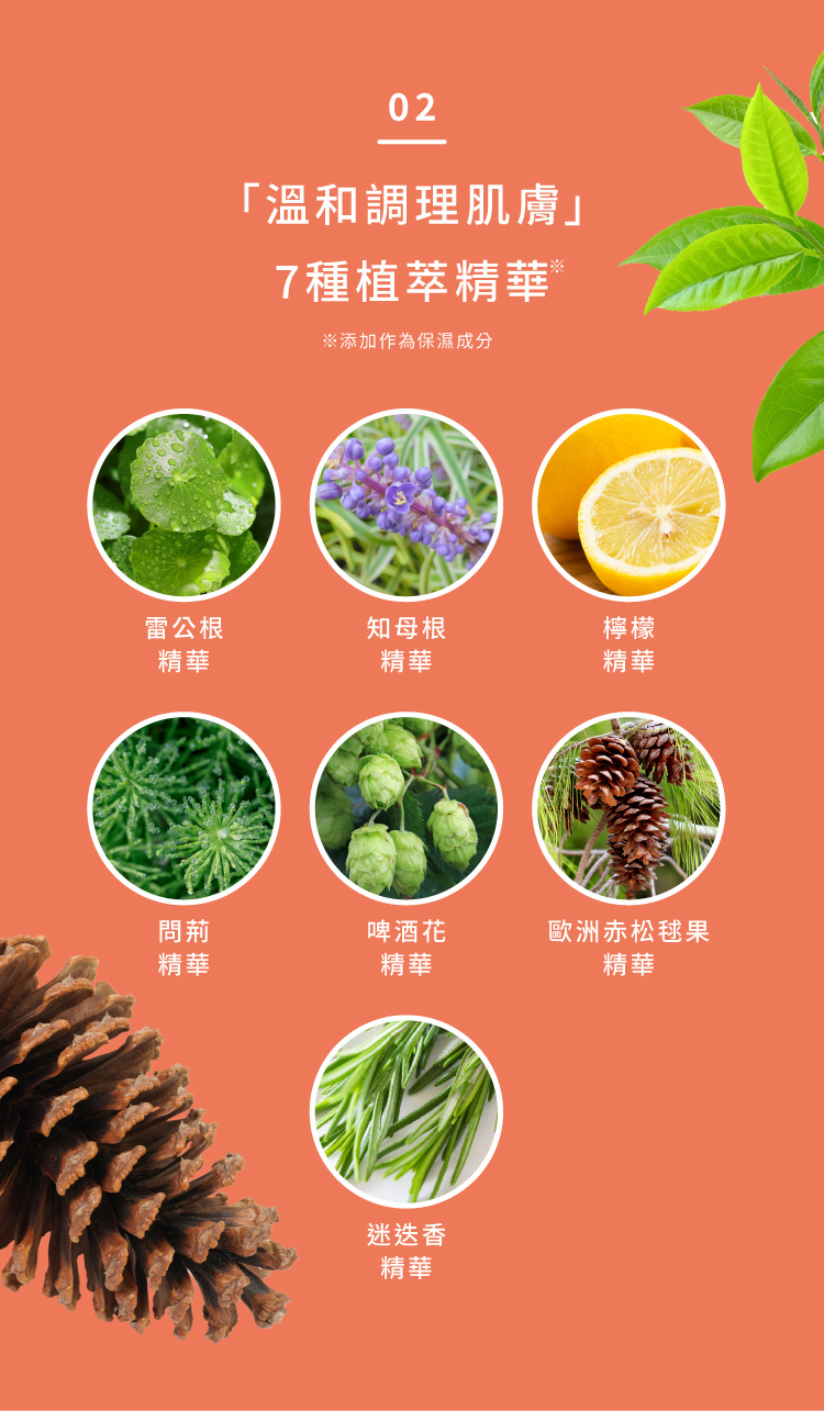 雷公根迷迭香7種植萃精華 溫和舒緩乾燥不穩定肌