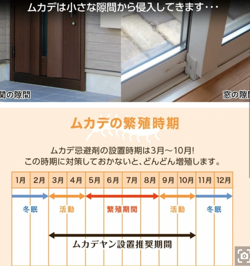 (預購商品) 日本天然薄荷 防蟲 守護盒