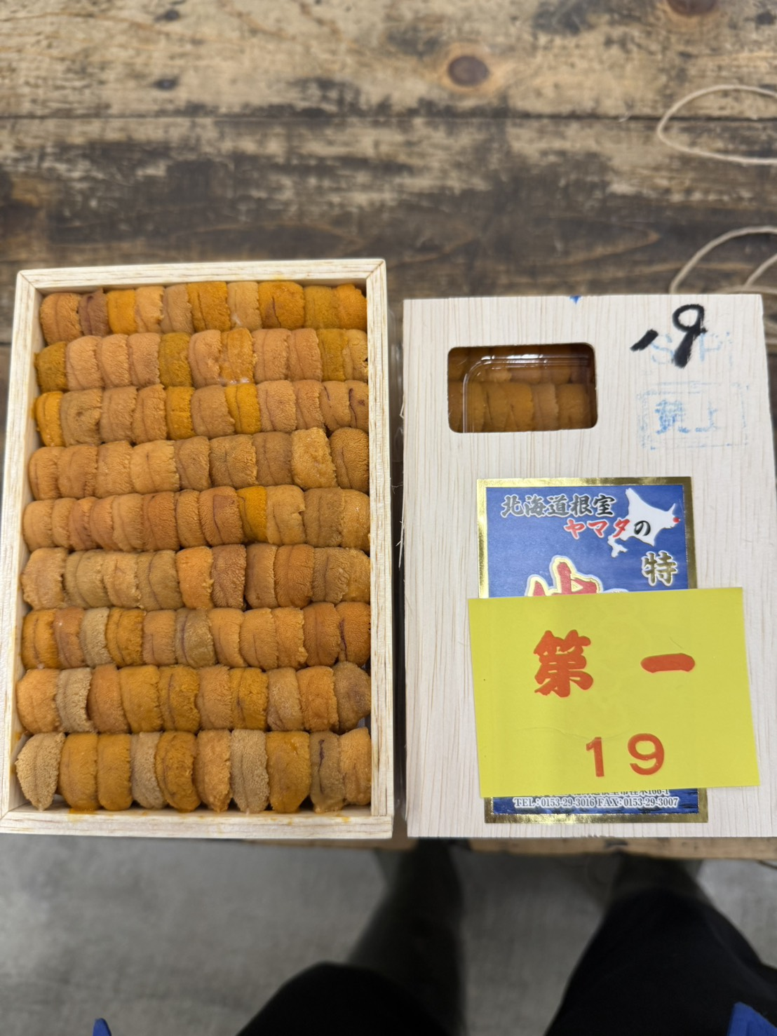 ヤマタ滝沢ロシア黄上並び~250g