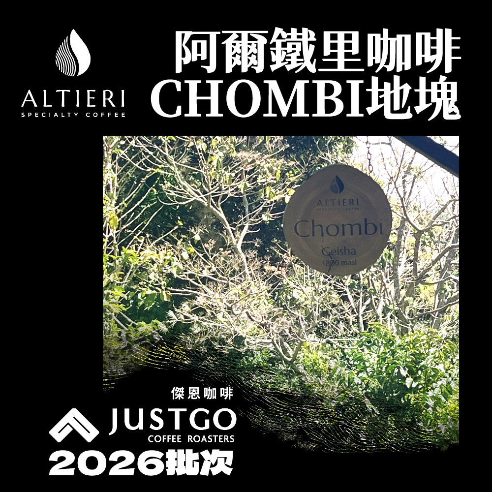 [生豆] 巴拿馬 阿鐵 CHOMBI地塊GN-DFC-CHOMBI-190126 瑰夏 [日曬乾燥冷發酵]