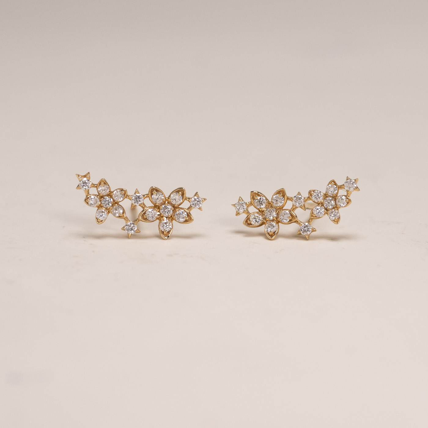 18k Secret Garden Diamond Earring