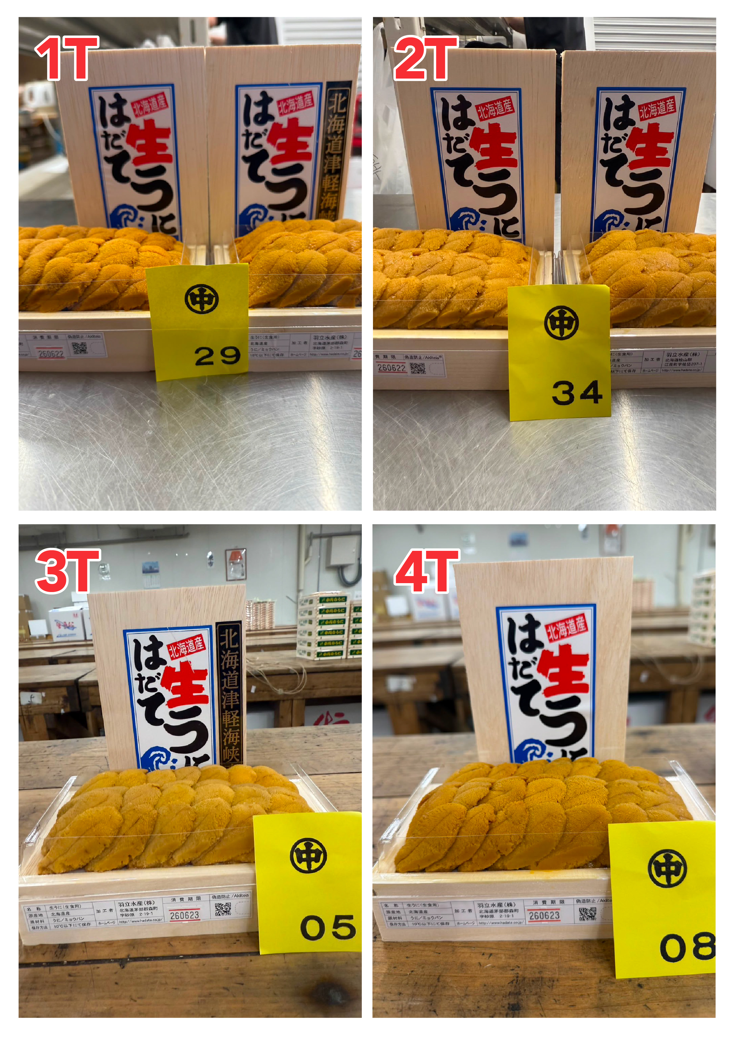 【指定海膽推薦】每天更新 (限即日落單, 翌日送)