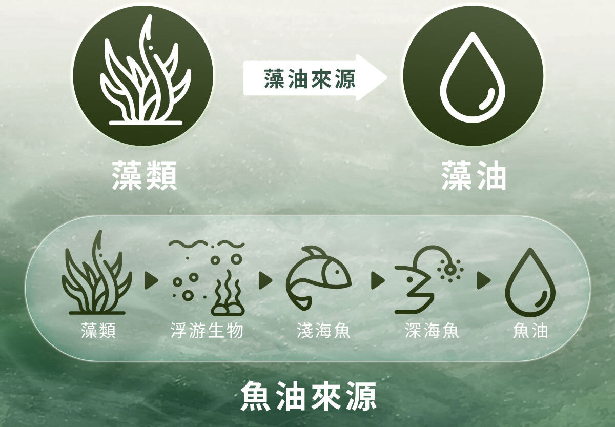嚴萃生醫藻油DHA-15