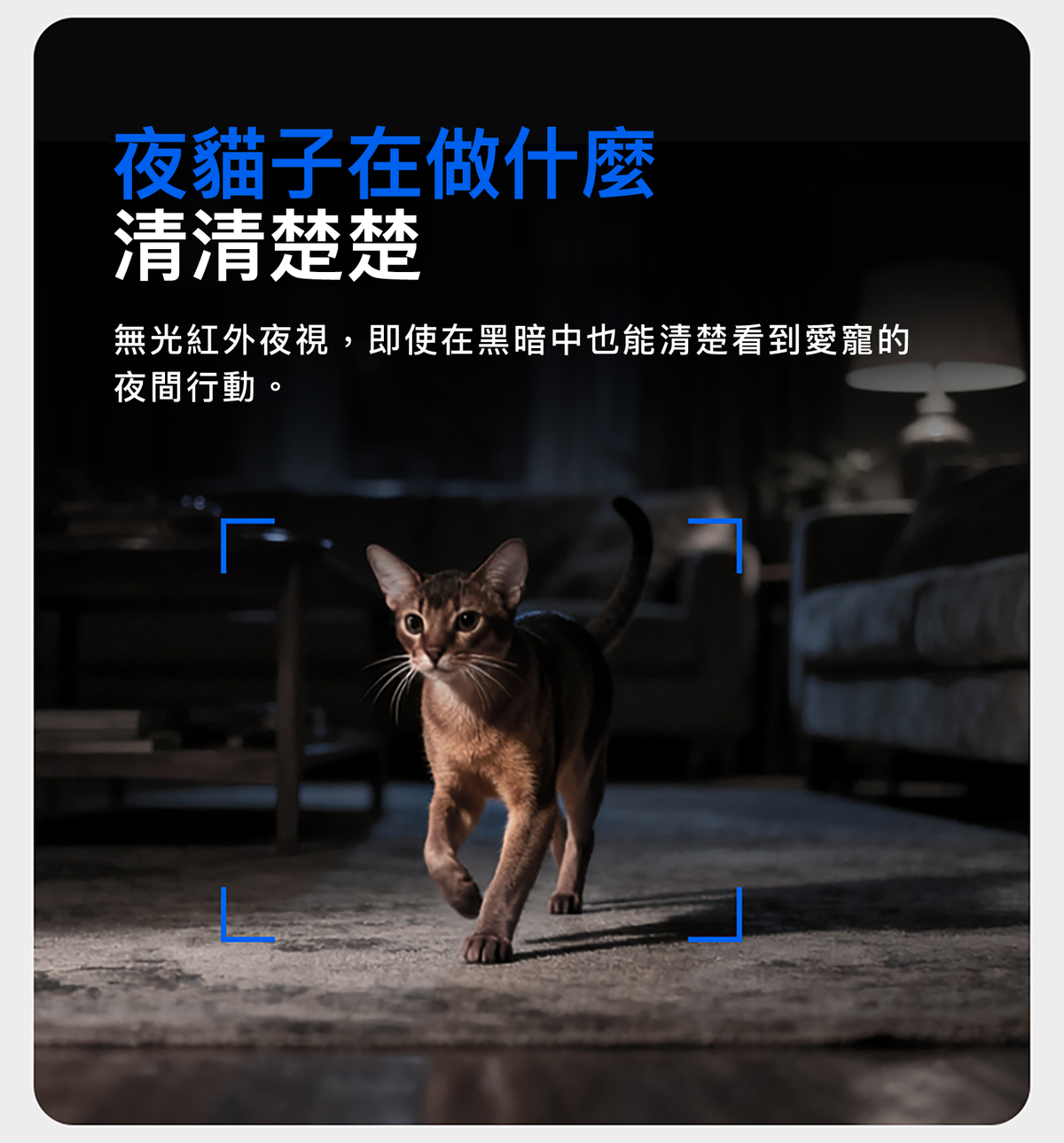 Petkit Gemini 2 AI智能餵食器 (鏡頭版)
