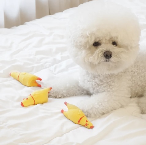 Ding Dog Mini Chick Latex toy for dogs (4x10cm)1pc