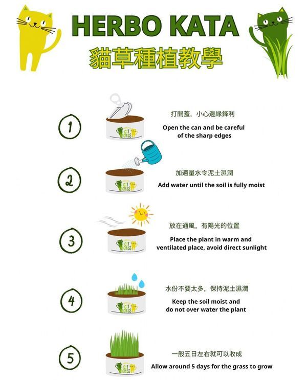 Herbo kata 自家種植貓草罐