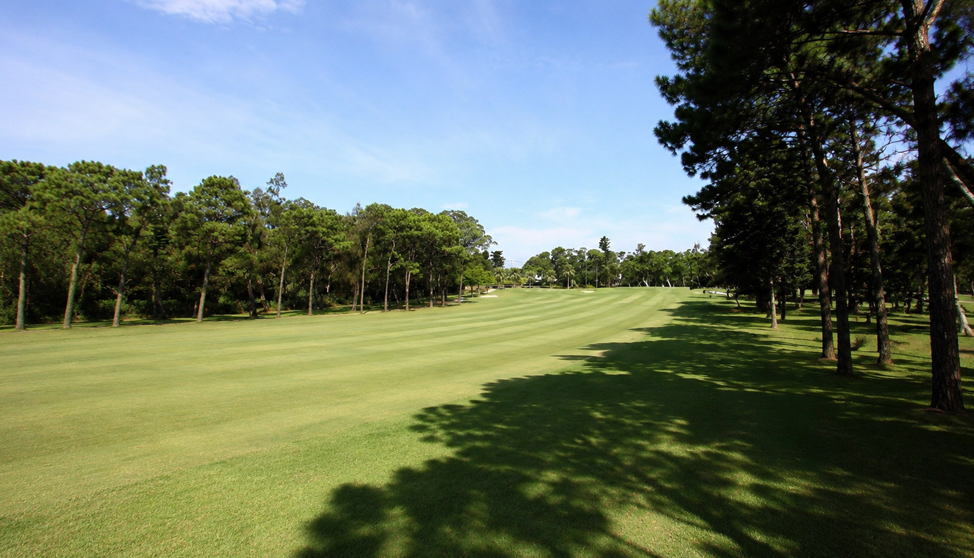 Linkou Golf Club