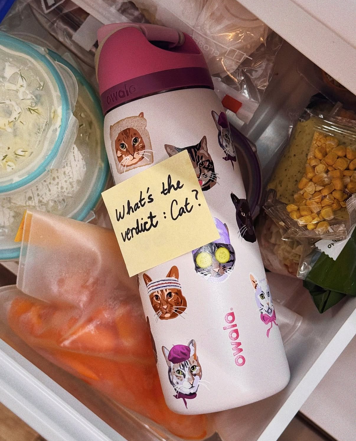 歐美限定 OWALA 🇺🇸 X UO "Cat Collage" 不鏽鋼保溫杯 粉色 淡粉 貓咪 貓貓 直飲杯 吸管杯 32oz 946ml / 預購