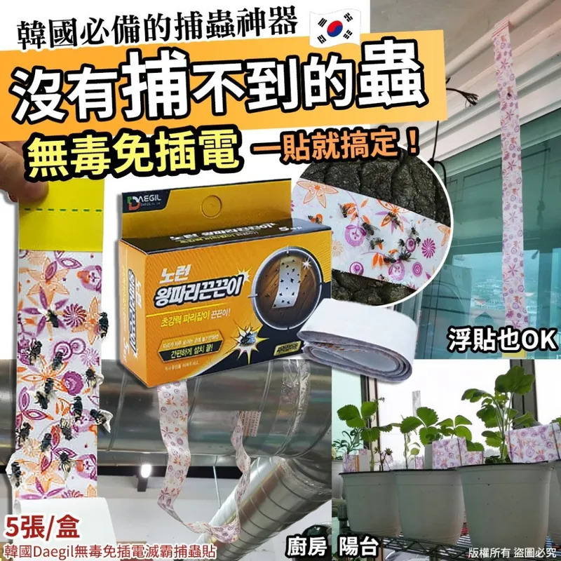 WSBB8534    韓國Daegil無毒免插電滅霸捕蟲貼5貼(1套6盒)（8月上旬）