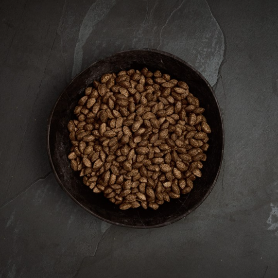 Canagan 原之選 蟲蟲蛋白配方 無穀物狗乾糧 1.5kg