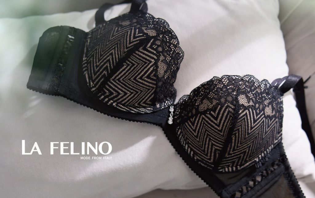 La Felino