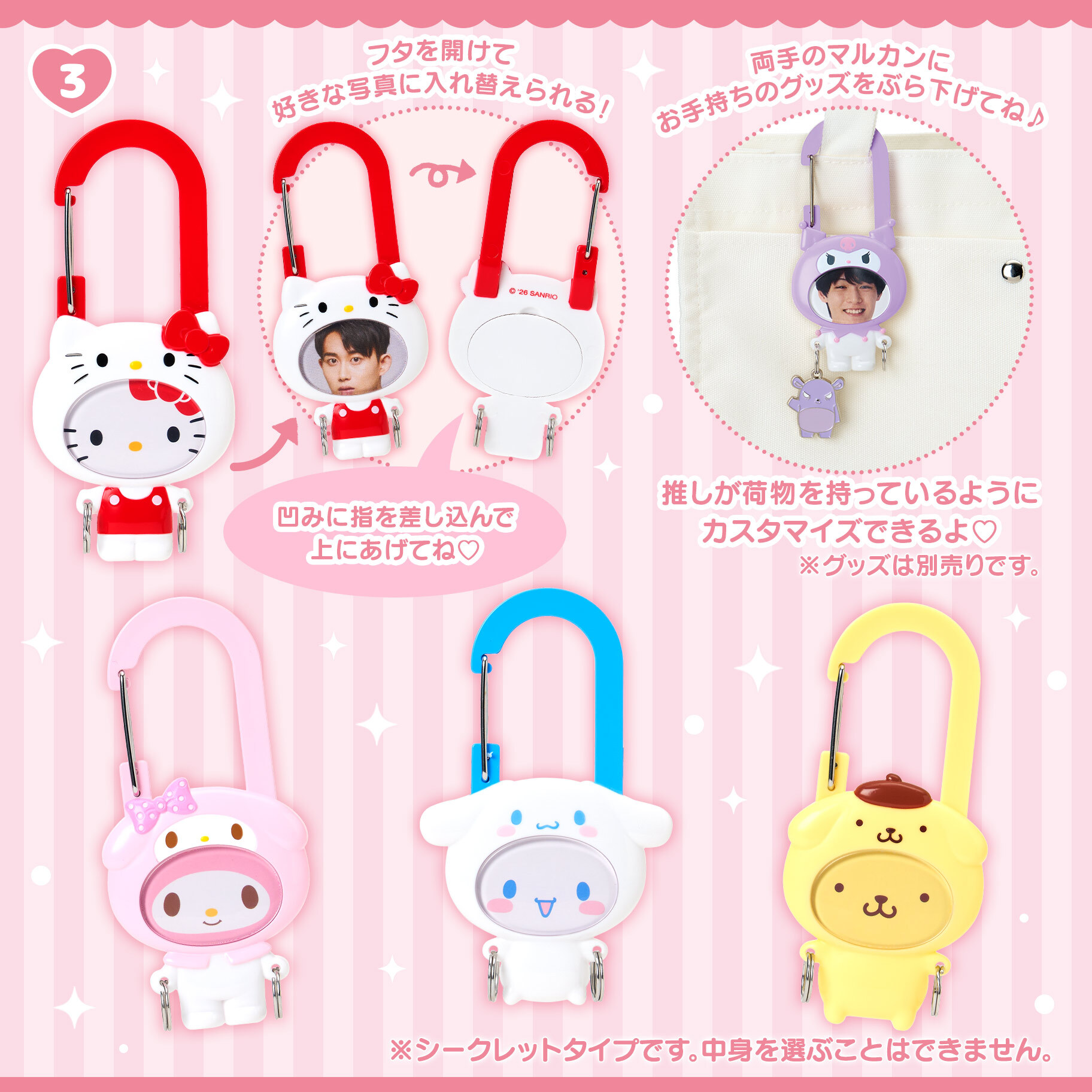 日本 Sanrio 享受偶像系列 - 相架款爬山扣盲盒 (可揀款)