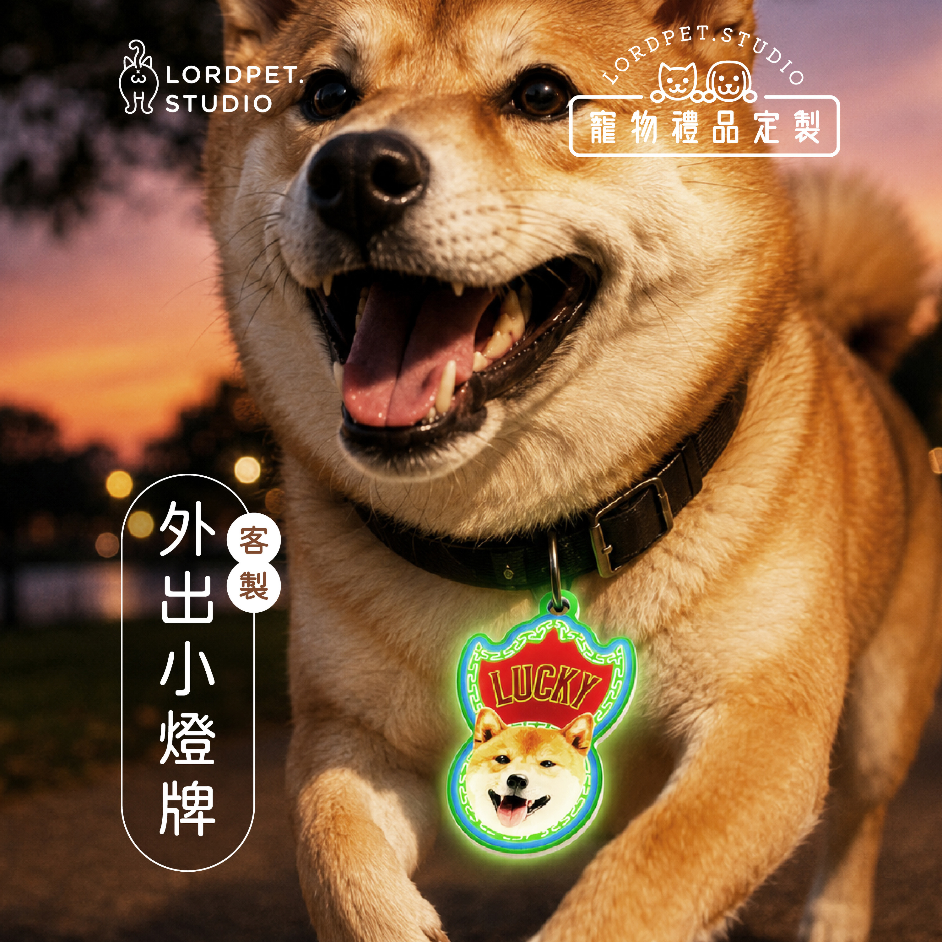 客製寵物外出小燈牌