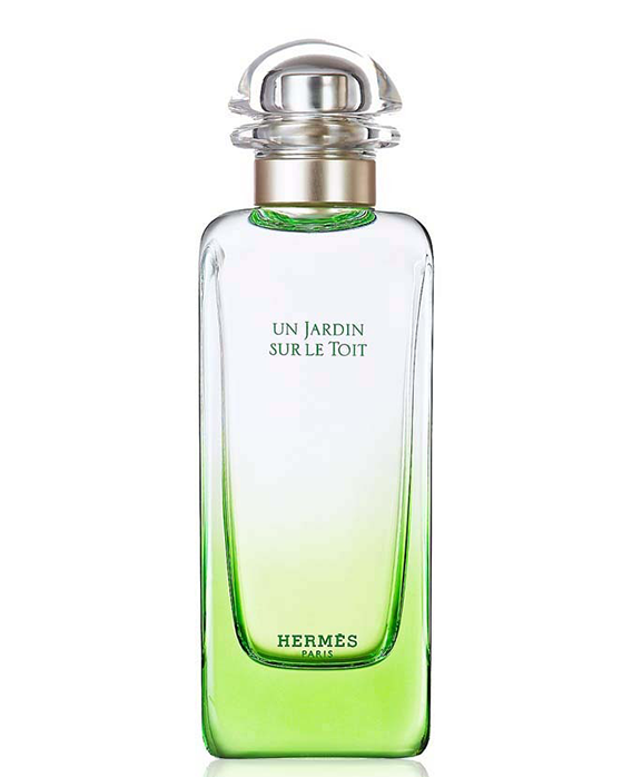 愛馬仕 屋頂花園 淡香水噴霧EDT 100ML[平行進口] 3346132400019