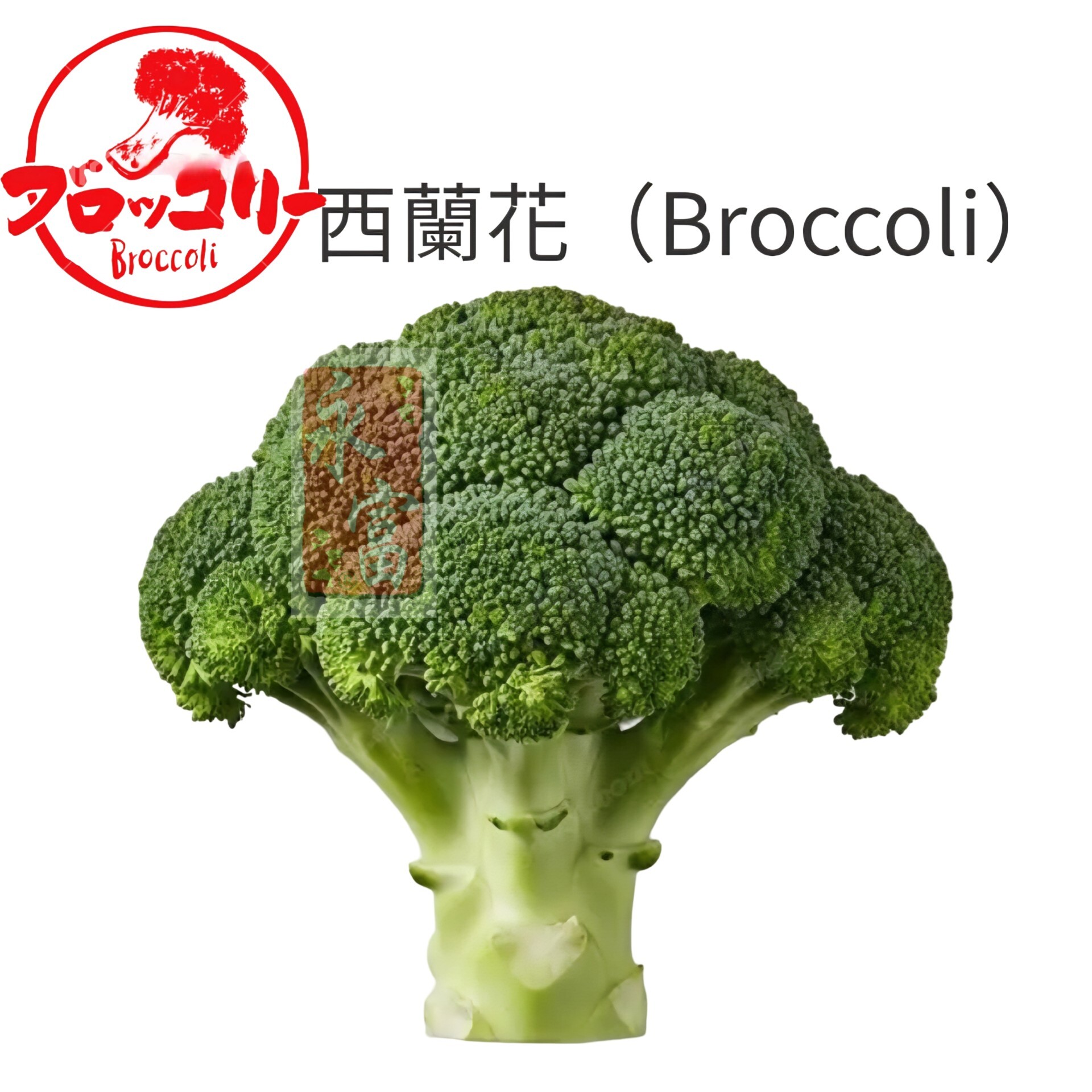 日本西蘭花(250-300G)-1株