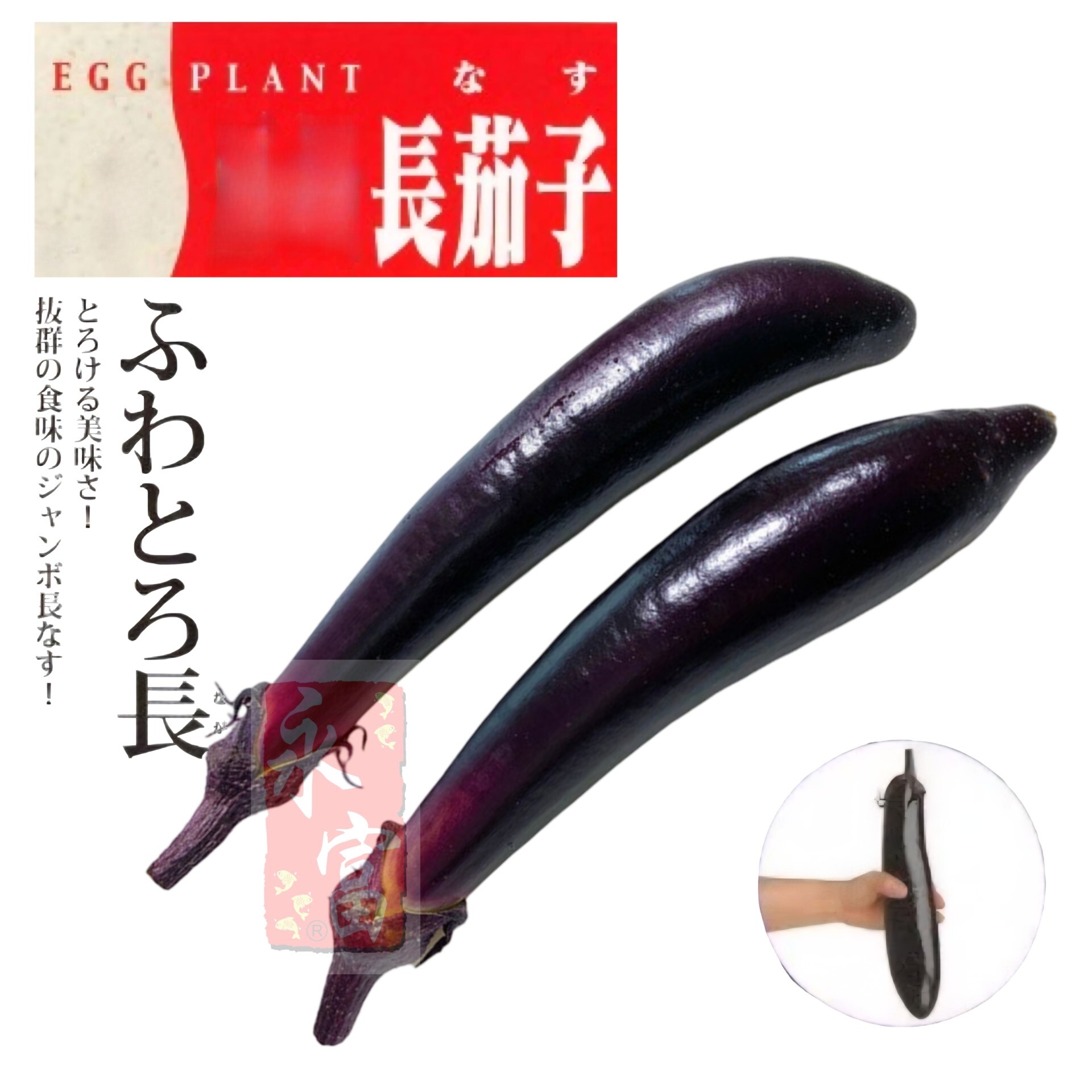 日本長茄子(約350G)-1個