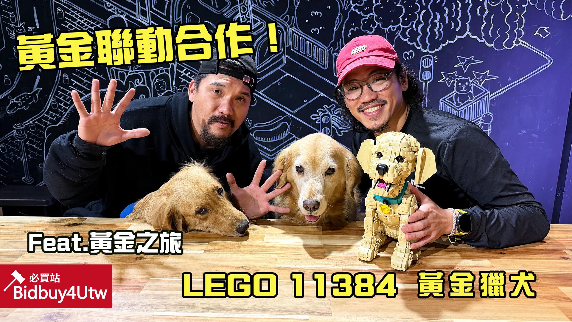 [虎哥來開箱] 2026 LEGO 11384 黃金獵犬 (feat.黃金之旅)