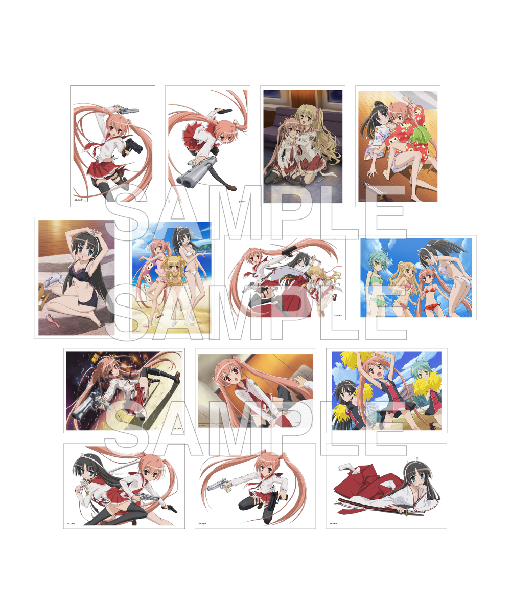 預購-「緋彈的亞莉亞」集換式特製小卡 系列動畫15周年紀念 ver. BOX販售【日本進口精品】