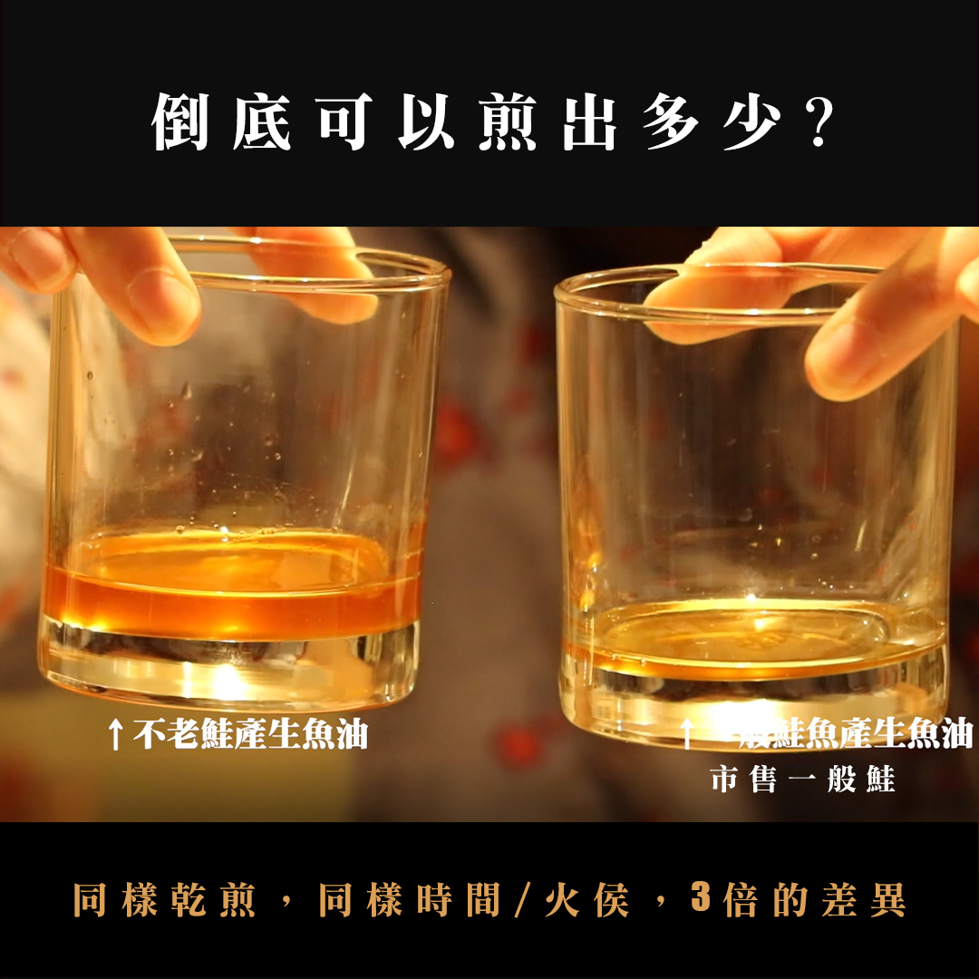 乾煎不老鮭釋放天然橘紅色魚油