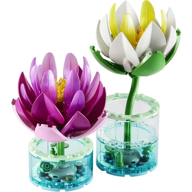【玩具研究中心】LEGO 樂高 Botanicals 睡蓮 11511