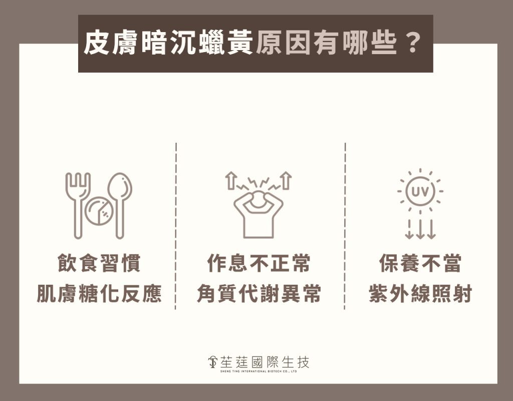 臉部美白