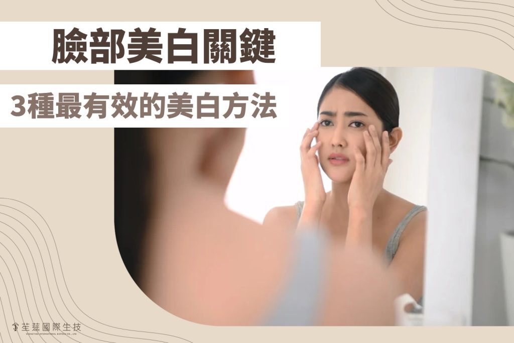 臉部美白