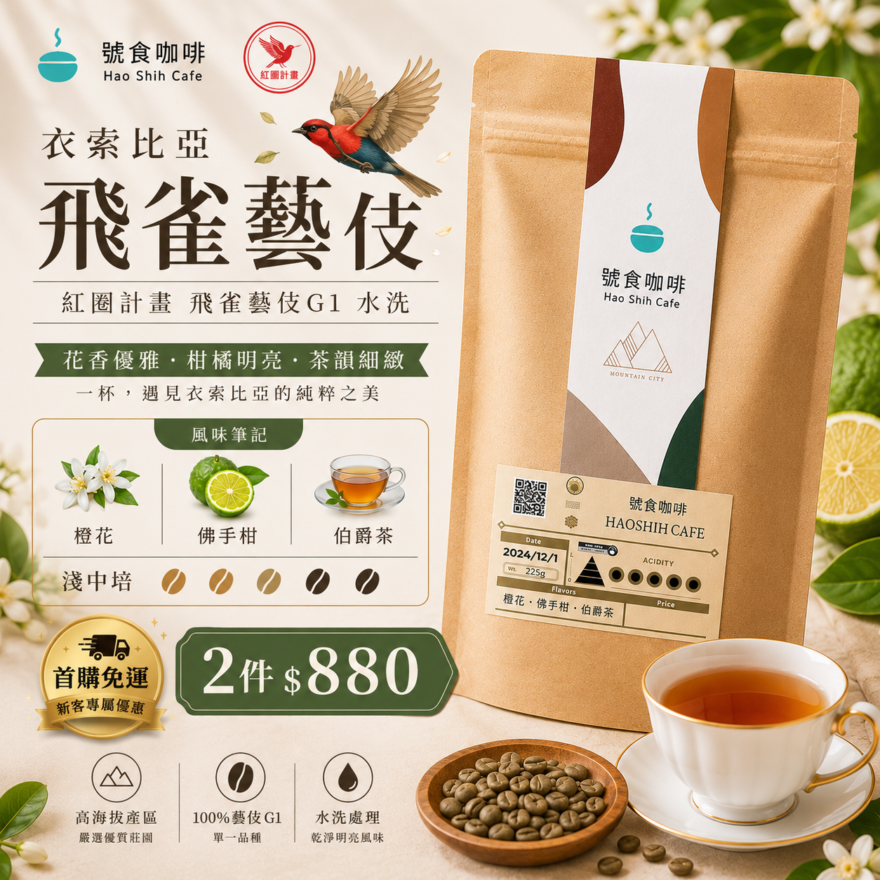衣索比亞|紅圈計畫 |飛雀處理站 藝伎