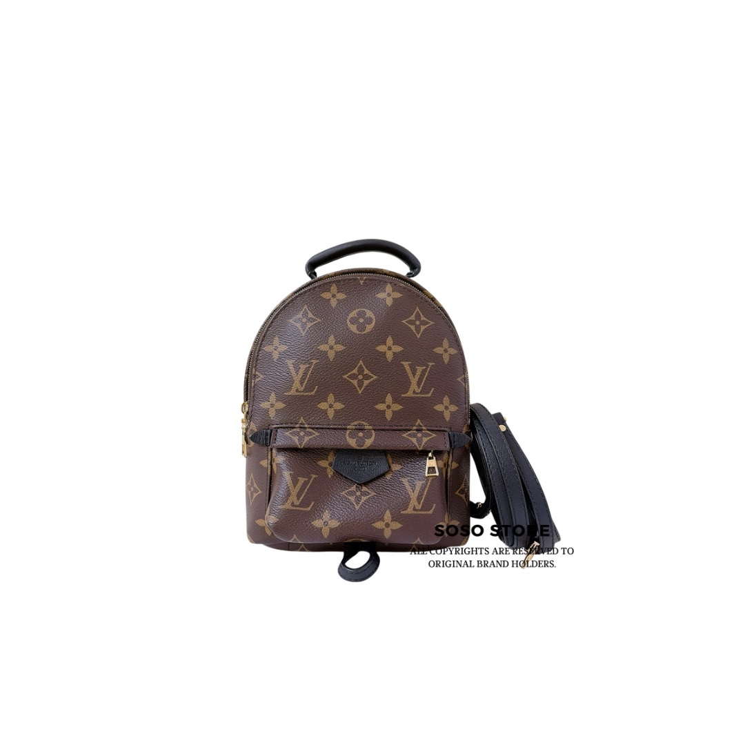 LV Palm Springs Mini Backpack - Brown / GHW