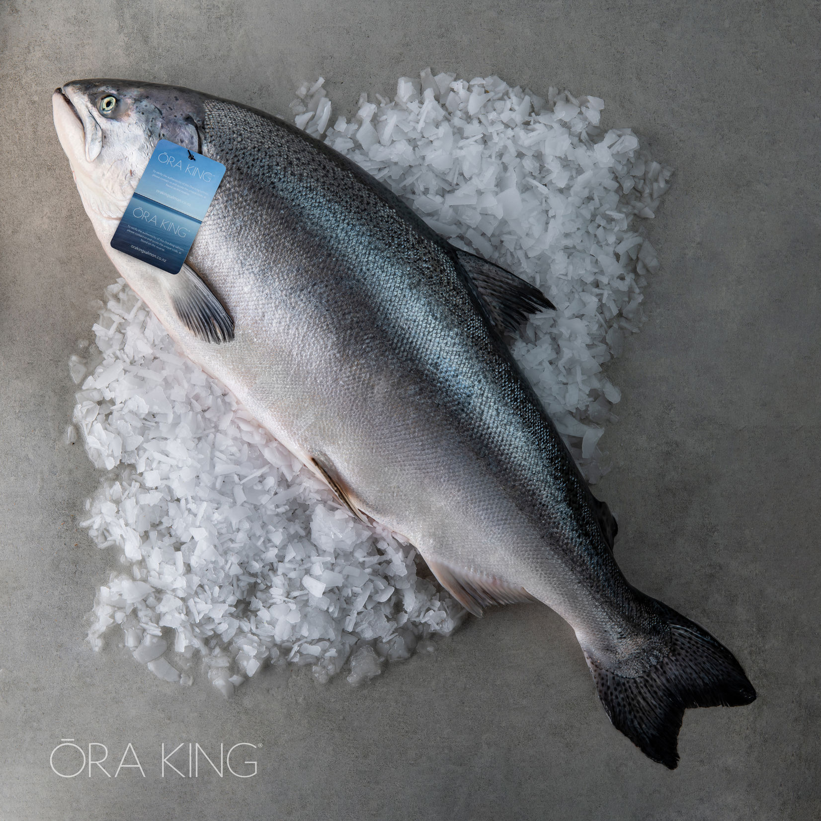 頂級國王鮭專業包裝