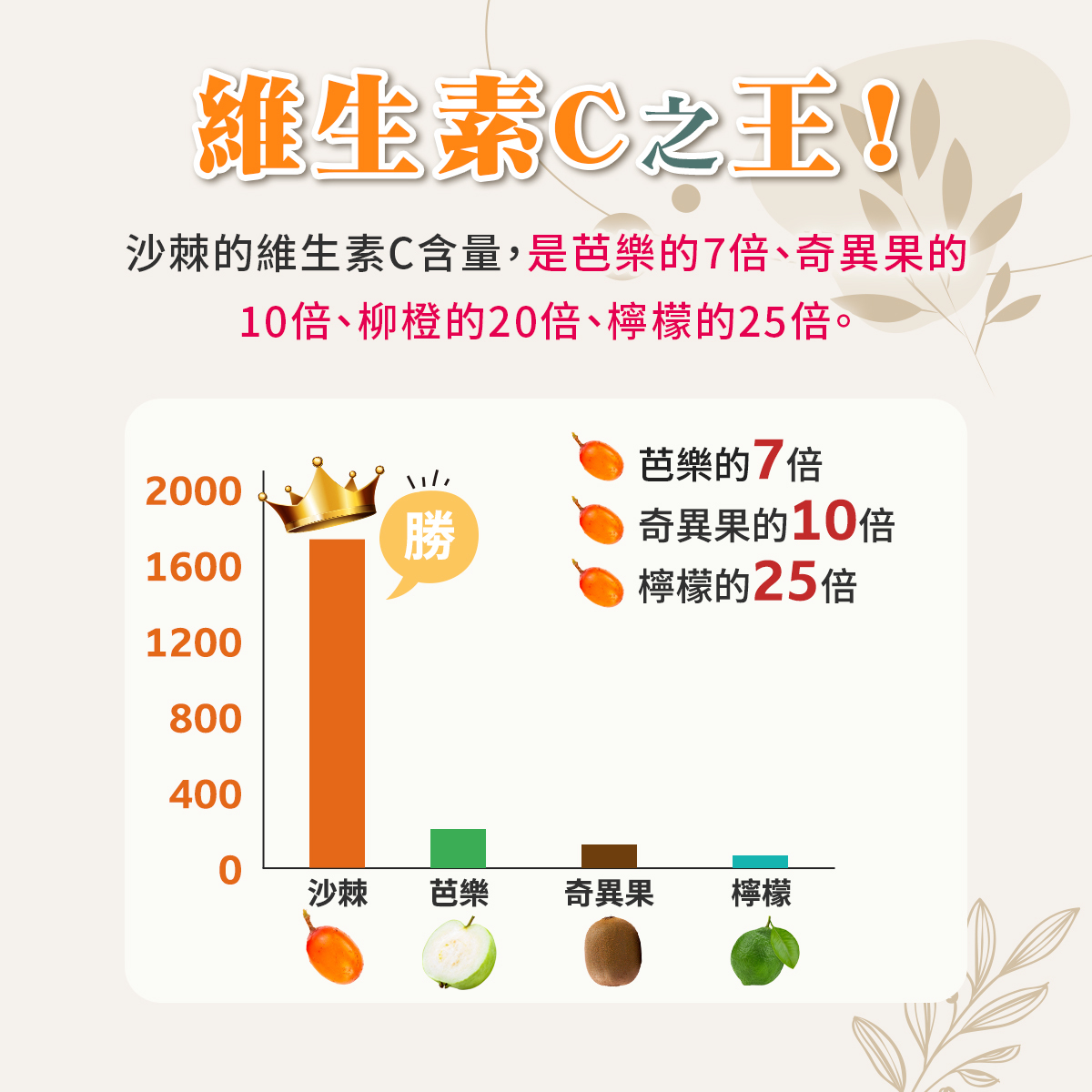 沙棘果「維生素C之王」長條圖數據對比。上方文字寫著沙棘的維生素C含量是芭樂的7倍、奇異果的10倍、柳橙的20倍、檸檬的25倍。下方長條圖表清晰顯示沙棘果高居第一並戴上皇冠標註「勝」,右側列出與芭樂、奇異果、檸檬的倍數對比。久保生醫強調沙棘果擁有極高濃度的天然維生素C,能高效幫助養顏美容、提亮抗氧化,並全面協同私密處保養的日常健康維持。