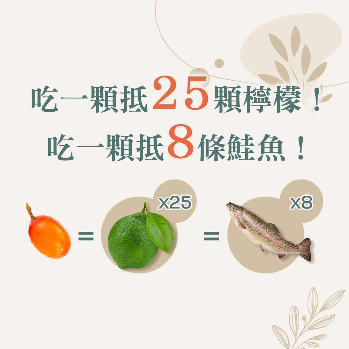 沙棘果高營養價值趣味對比圖。米色簡約背景配上斗大標題「吃一顆抵25顆檸檬!吃一顆抵8條鮭魚!」。下方用視覺化的等號公式,展示一顆橘紅色的沙棘果實等於25顆綠色檸檬(代表維生素C之王)以及8條新鮮鮭魚(代表豐富植物性Omega-7)。久保生醫用直觀有趣的圖像對比,突顯出沙棘果小巧卻擁有驚人高濃縮營養,是一般水果與常規食物難以比擬的。