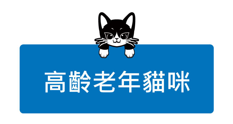 高齡老年貓咪
