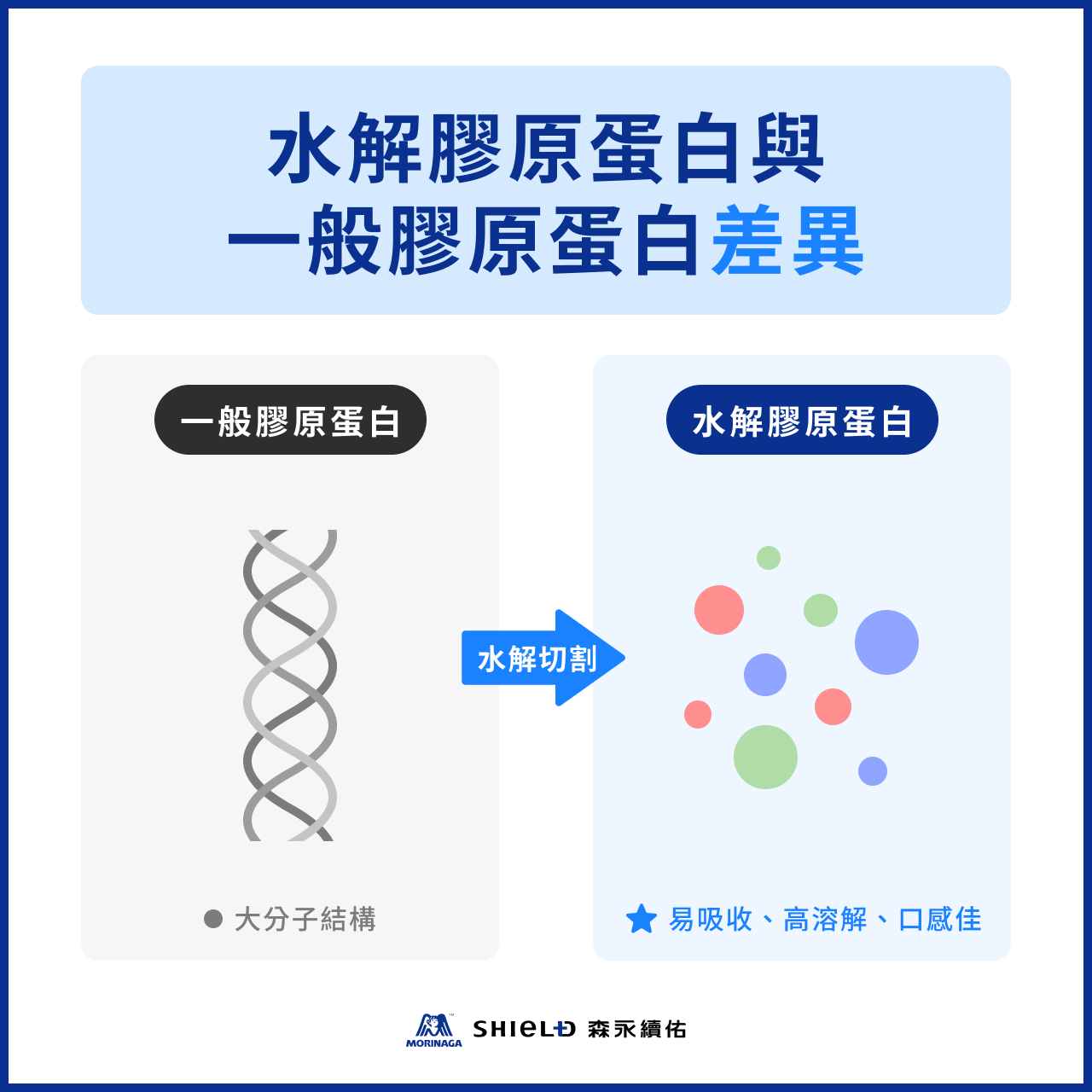 水解膠原蛋白與一般膠原蛋白差異