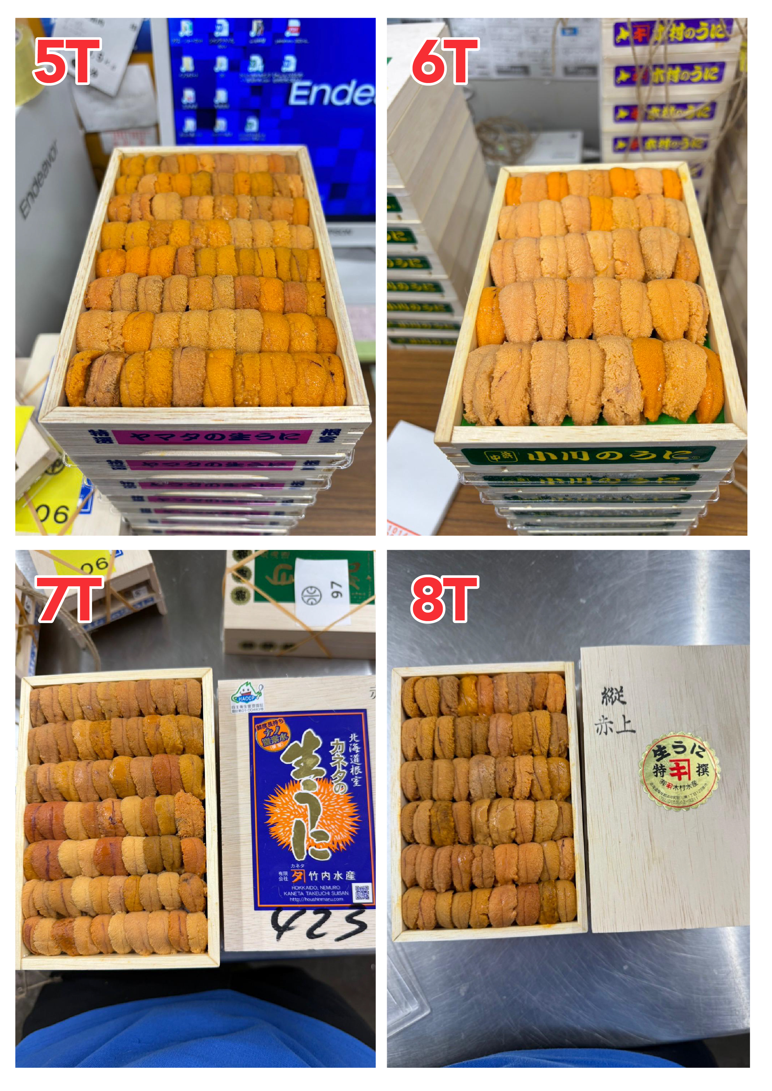【指定海膽推薦】每天更新 (限即日落單, 翌日送)