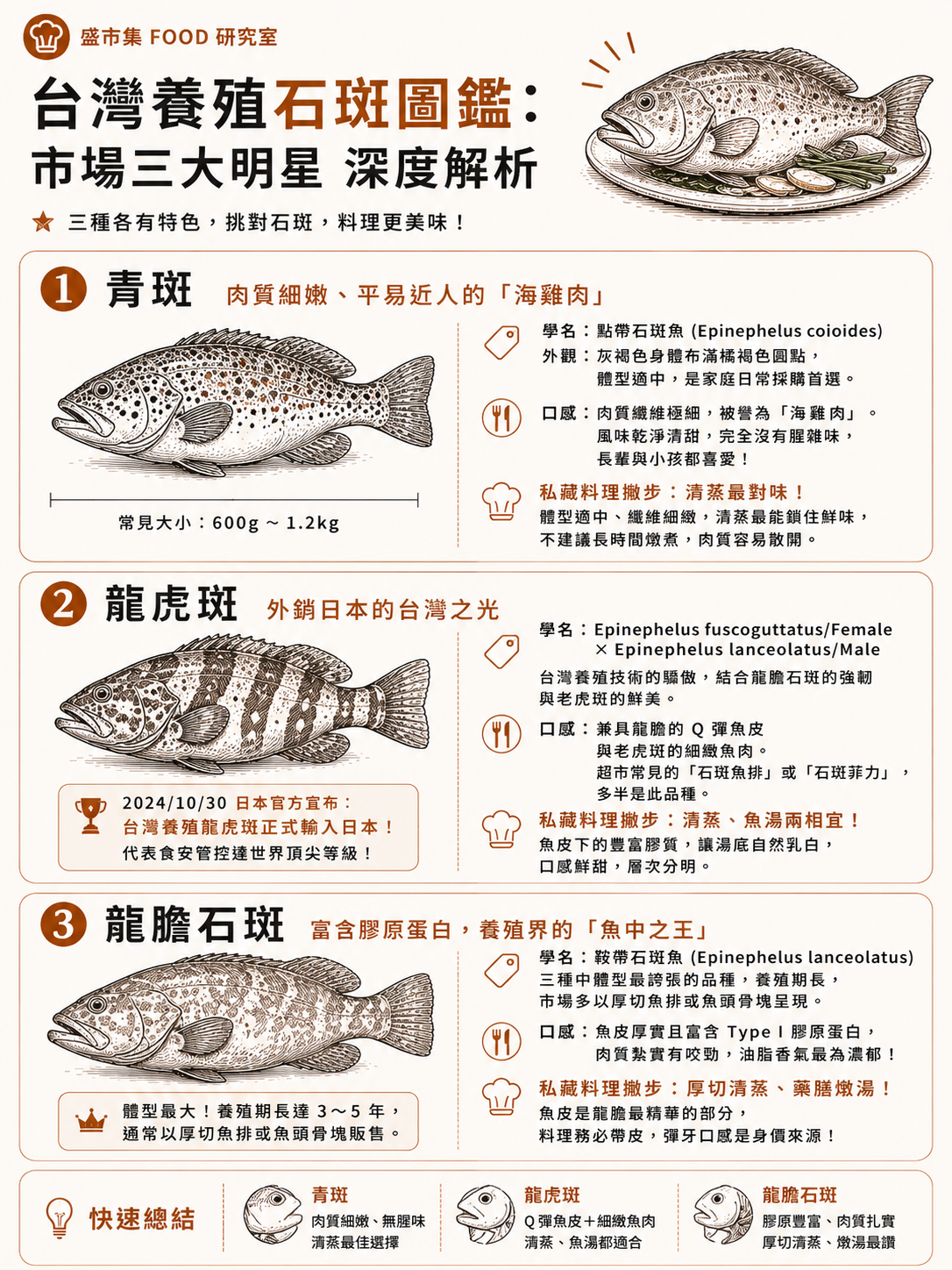 台灣養殖石斑魚三大品種對照:青斑(點帶石斑)、龍虎斑(珍珠龍膽)、龍膽石斑(鞍帶石斑)