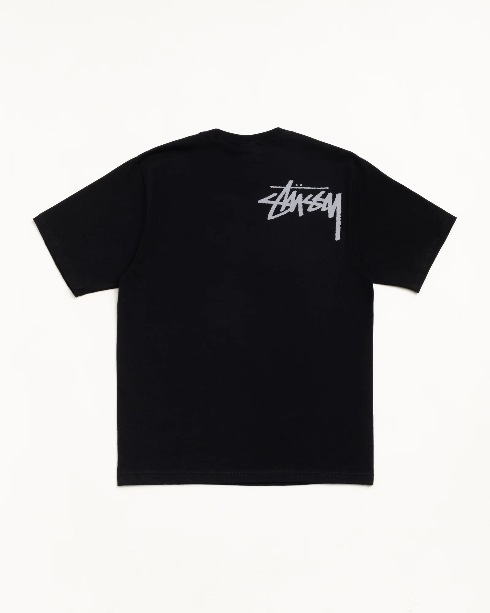【預購】STUSSY DOUBLE VENUS TEE 2色 SSPTS
