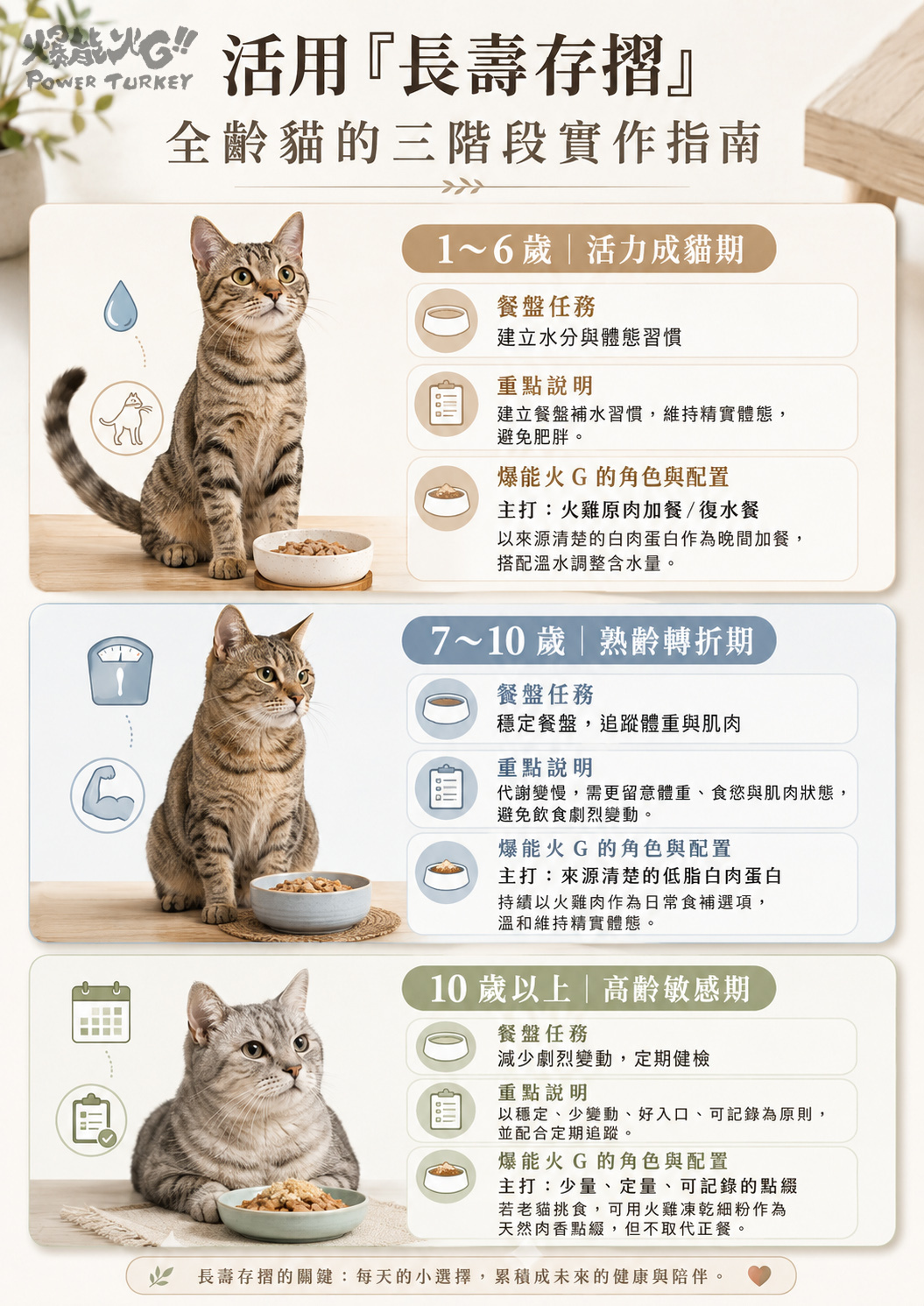 活用長壽存摺的全齡貓三階段實作指南,整理 1~6 歲活力成貓期、7~10 歲熟齡轉折期與 10 歲以上高齡敏感期的餐盤任務,以及火雞肉加餐、復水餐與少量點綴的配置方式_爆能火G_趕食髦部落格