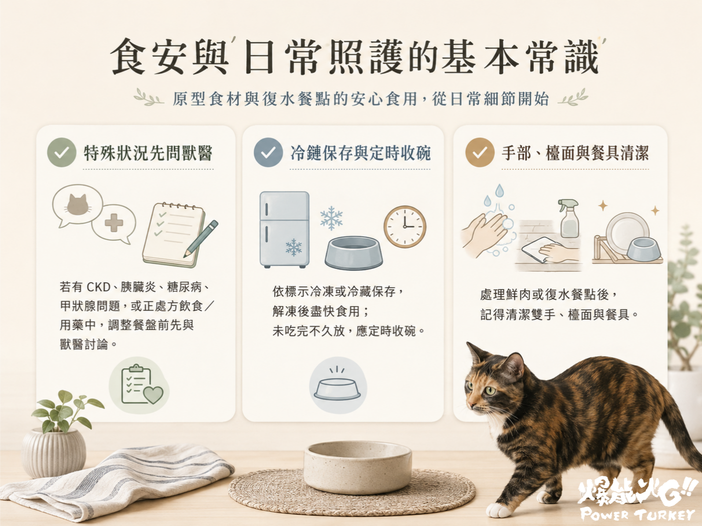 食安與日常照護的基本常識資訊圖,整理貓咪鮮食與復水餐的三大重點:醫療諮詢優先、冷鏈保存與即食,以及手部檯面與餐具清潔_爆能火G_趕食髦部落格