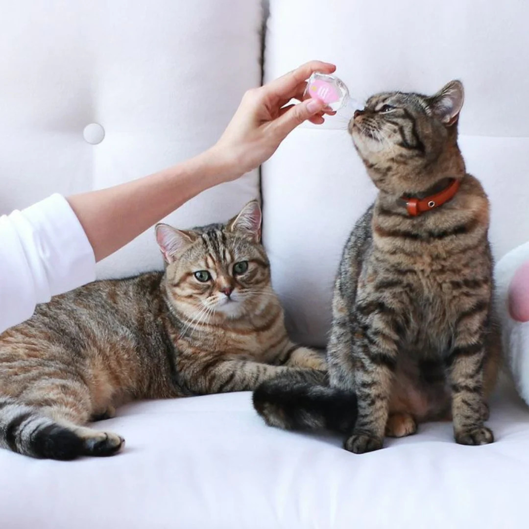 Aphro Paws 鼻腔舒緩滴劑