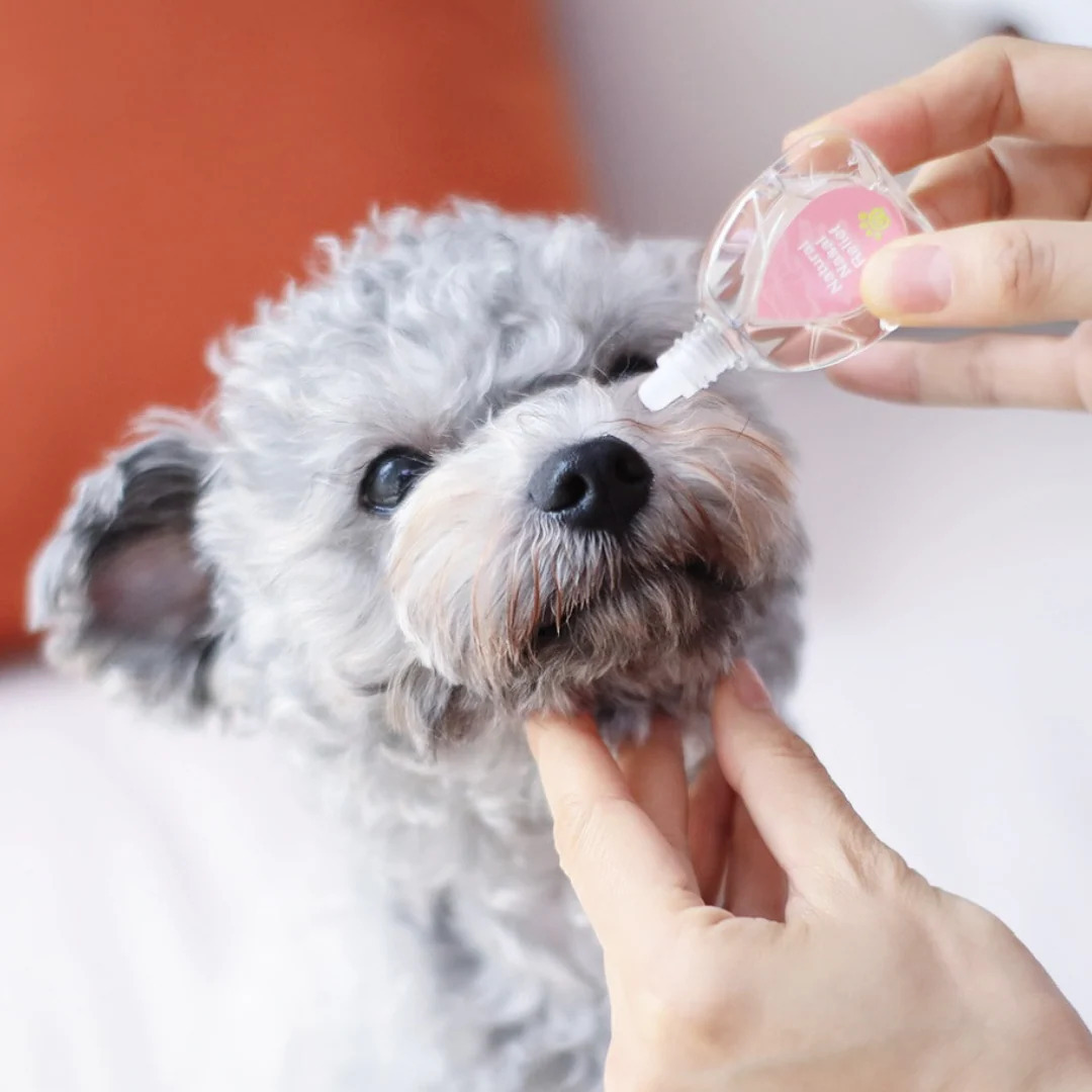 Aphro Paws 鼻腔舒緩滴劑