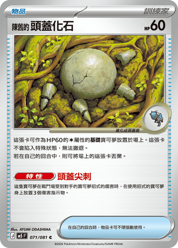【M5F 071/081 C】陳舊的頭蓋化石 C