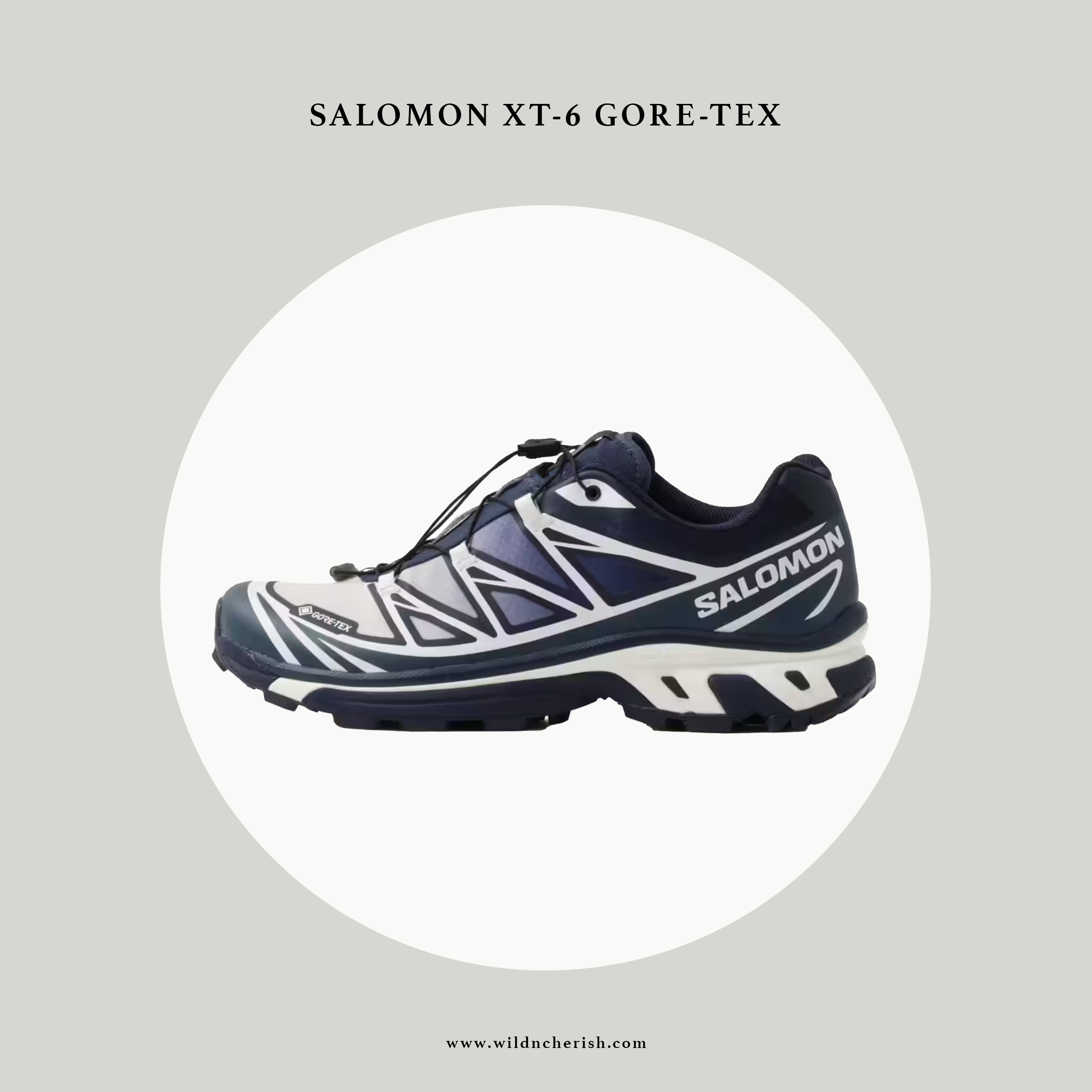 預訂 | Salomon S/LAB XT-6 Gore-Tex Advanced 防水 日本限定