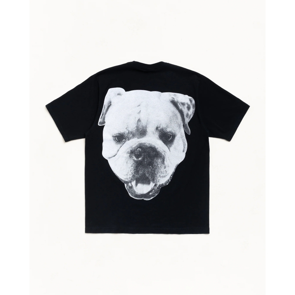 Stussy BIG DOG STONE WASHED TEE 短T 黑色 白色