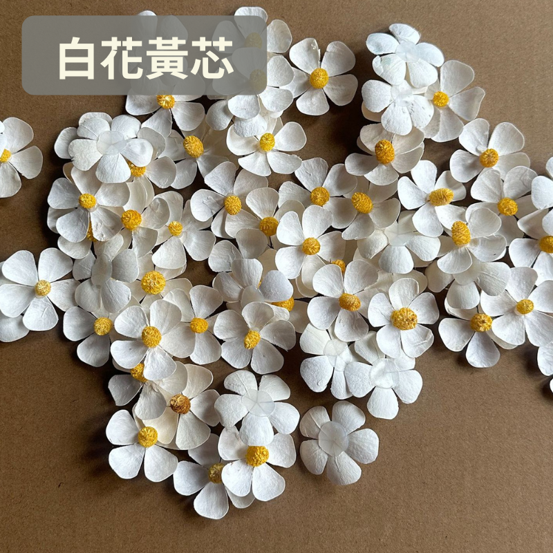 【材料王批發｜台灣現貨】手工乾燥花 紫羅蘭花頭