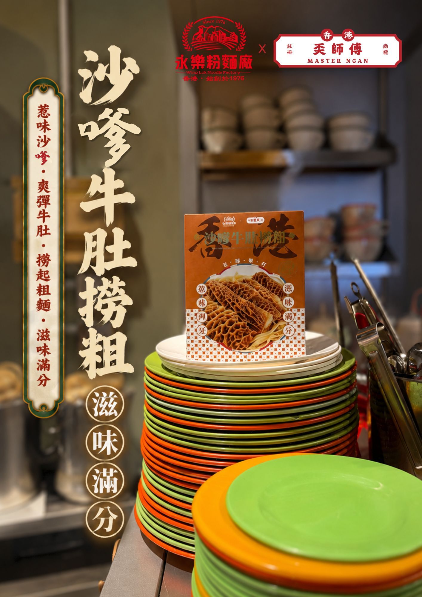 Hong Kong Style Satay Beef Tripe with Thick Noodles