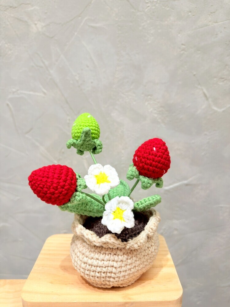 小白花&三顆草莓盆栽『約16cm』