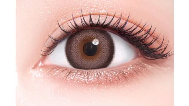 [Monthly] Flurry 1 Day Ring Large Ash Brown| Daily Disposable Makeup Contact Lenses | 10 lenses per box