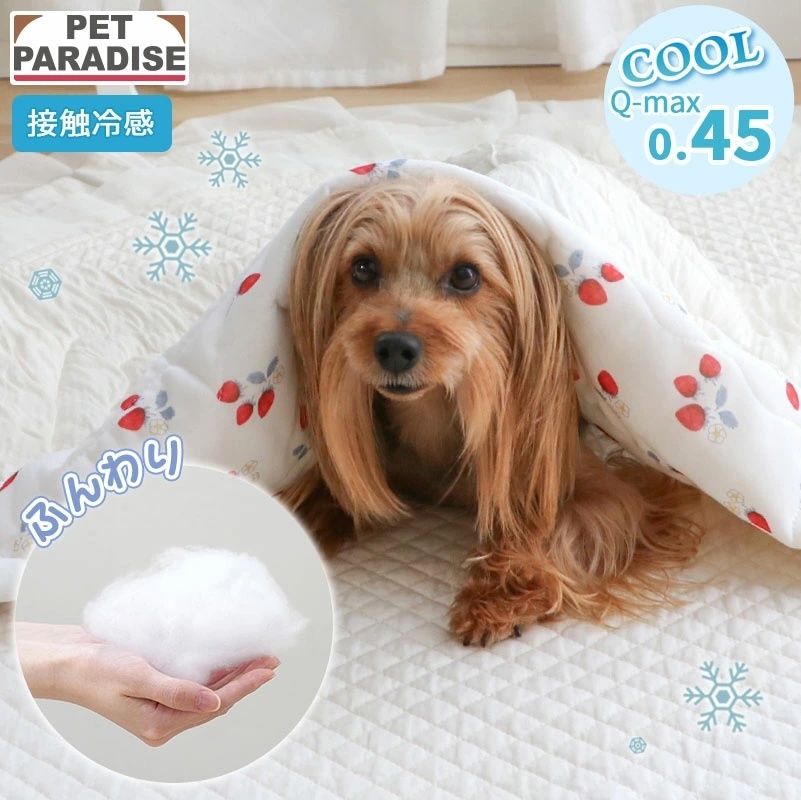 [Pet Paradise] Cool Blanket