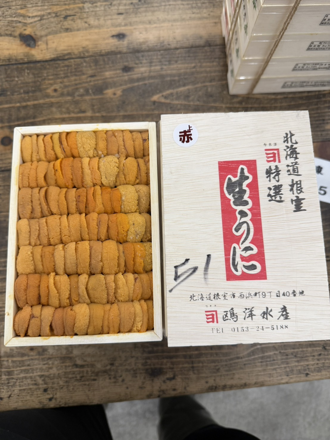 カネヨロシア赤上並び~400g
